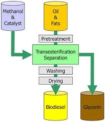 Transesterification - SRS BiodieselSRS Biodiesel